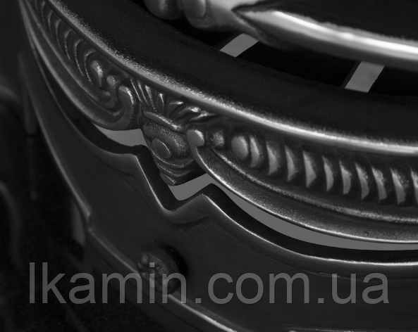 1756289746_kaminnaya-topka-carron.png
